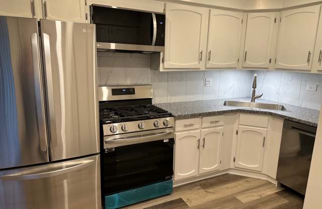 249 N Gregory St - 249 North Gregory Street, Aurora, IL 60504