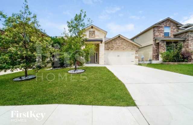 651 Sage Thrasher photos photos