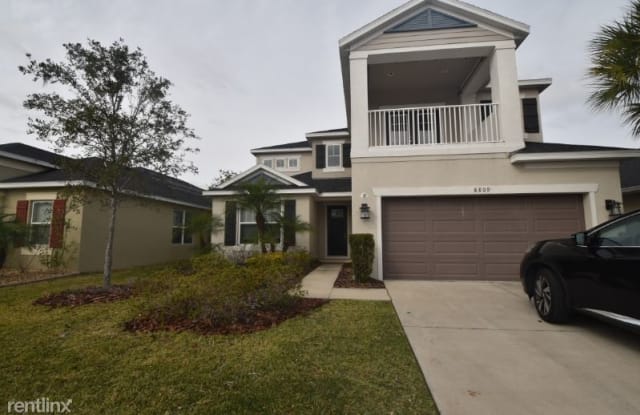 8809 Tropical Palm Dr - 8809 Tropical Palm Drive, Westchase, FL 33626