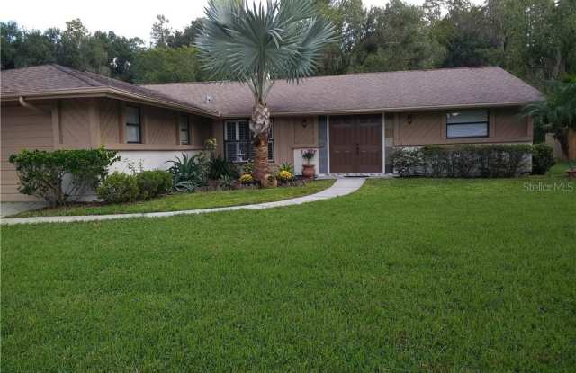 525 LAKEVIEW DRIVE - 525 Lakeview Drive, Oldsmar, FL 34677