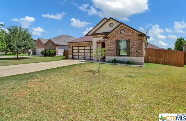140 Pomegranate Cove - 140 Pomegranate Cove, Kyle, TX 78640