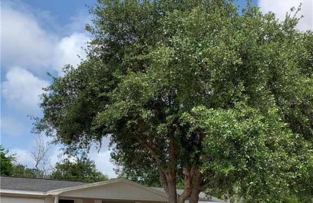 4741 AEGEAN AVENUE - 4741 Aegean Avenue, Holiday, FL 34690