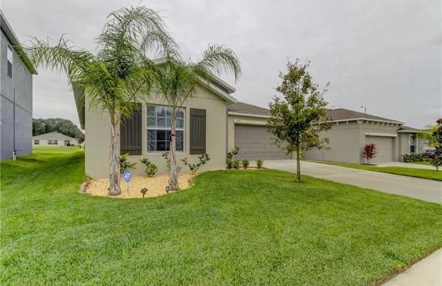 10231 STRAWBERRY TETRA DRIVE - 10231 Strawberry Tetra Drive, Riverview, FL 33578