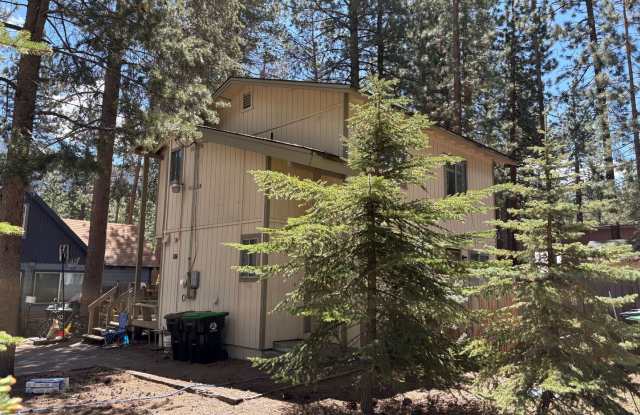 Large 4 bedroom cabin with fireplace photos photos