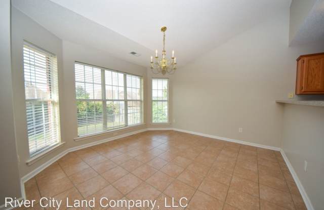 1409 Brimfield Cove Gallery 3