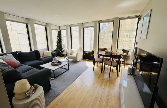 100 E Walton Street Gallery 2
