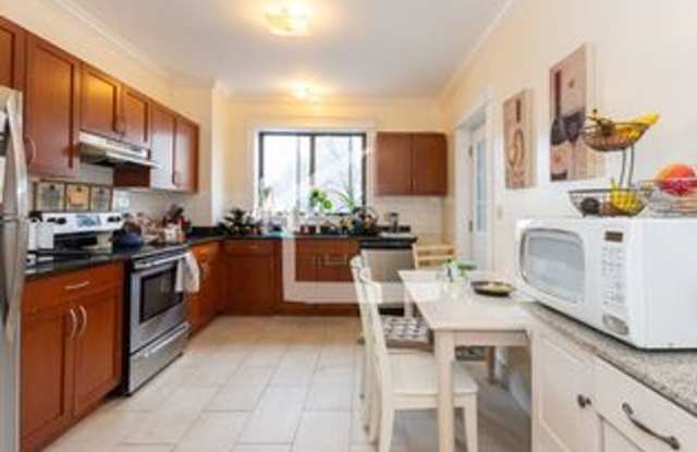 Large Unit near T and Brookline Border.  GREAT for BU students! Cat OK Gallery 3
