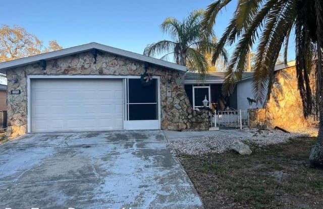 9006 Greenbriar Lane - 9006 Greenbriar Lane, Jasmine Estates, FL 34668