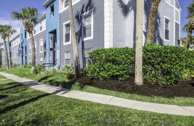 Ascent of Palm Bay Gallery 2