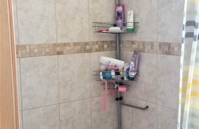 Nicely renovated 4 bed next to Porter Square and the Commuter Rail in Somerville! photos photos