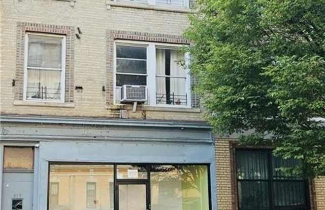 317 Albany Avenue photos photos