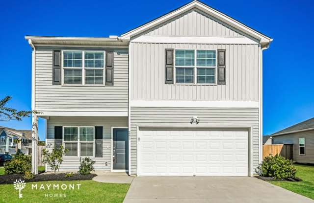 241 Clydesdale Circle - 241 Clydesdale Circle, Berkeley County, SC 29486