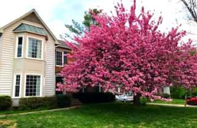 8904 SPRING BERRY COURT - 8904 Spring Berry Court, Montgomery Village, MD 20886