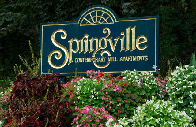 Springville Mill photos photos