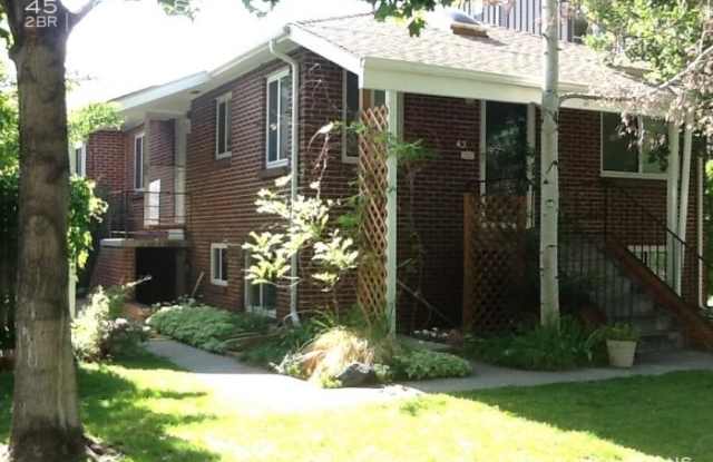 45 S Ogden St - 45 South Ogden Street, Denver, CO 80218