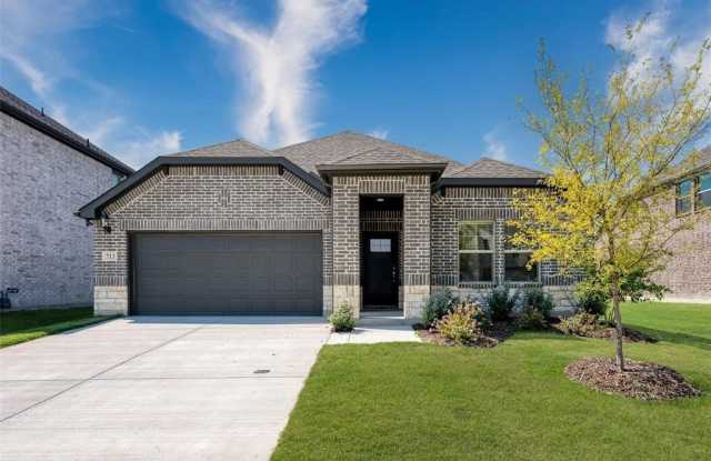 711 Tidal - 711 Livingston Lane, Collin County, TX 75407