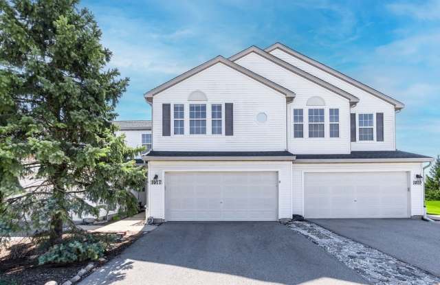 1017 Montego Bay Court - 1017 Montego Bay Court, Romeoville, IL 60446