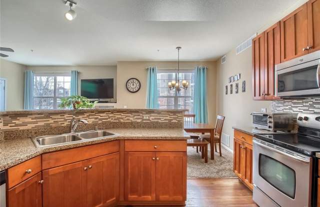 Bright 2 Bed, 2 Bath Condo in Blue Sky at Vista Ridge Gallery 4