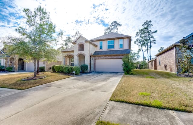 27111 White Sage Cove Ln - 27111 White Sage Cove Ln, Montgomery County, TX 77386