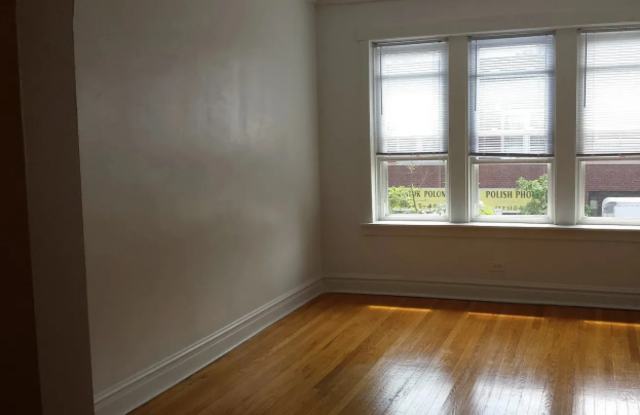 4209 North Milwaukee Ave. - 4209 North Milwaukee Avenue, Chicago, IL 60641