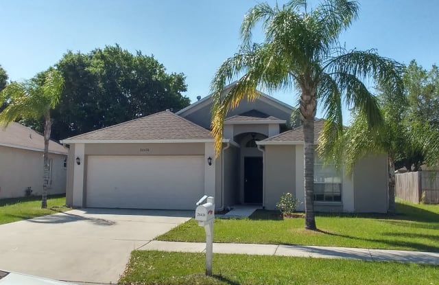 24434 Mistwood Ct - 24434 Mistwood Court, Land O' Lakes, FL 33559