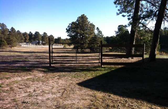 Black Forest Horse Property Gallery 1