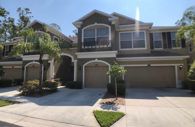 12660 Silverdale St - 12660 Silverdale Street, Keystone, FL 33626