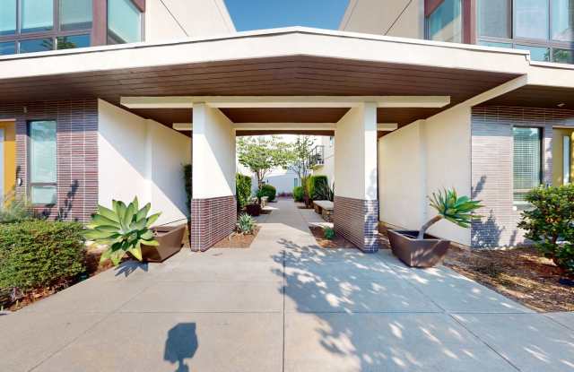 Modern 2 Bedroom 2.5 Bathroom Highland Park Luxury Condo for rent! Corner Unit. photos photos