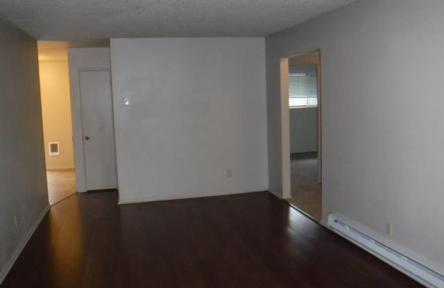 55+ Community Gallery 3