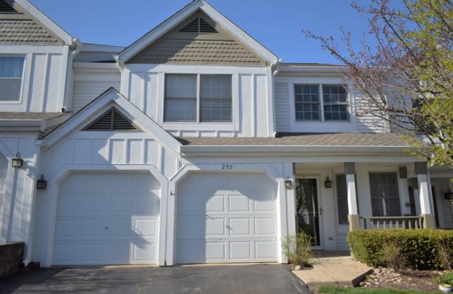250 Spring Point Drive - 250 Spring Point Drive, Carpentersville, IL 60110
