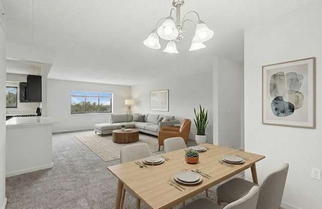 Bryn Mawr Apartments Gallery 4