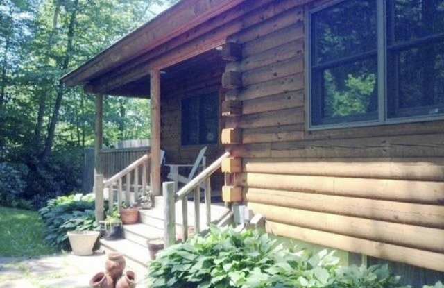 1415 Briscoe Rd - 1415 Briscoe Road, Sullivan County, NY 12783