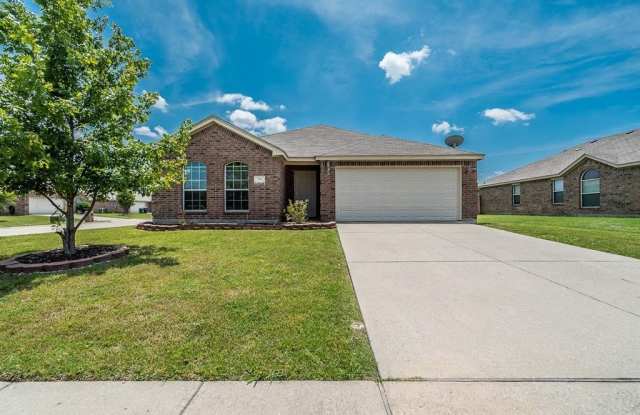 301 Olivia Lane - 301 Olivia Lane, Anna, TX 75409