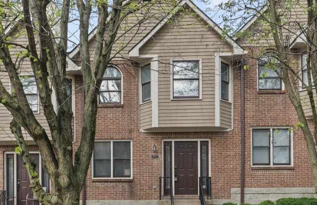 524 E 10th Street - 524 East 10th Street, Indianapolis, IN 46202 524 E 10th Street - 524 East 10th Street, Indianapolis, IN 46202