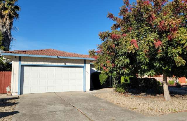 1031 Fallbrook Drive photos photos