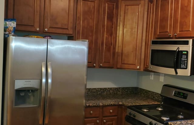 7029 South Merrill Avenue - 2S, Unit 4 - 7029 South Merrill Avenue, Chicago, IL 60649