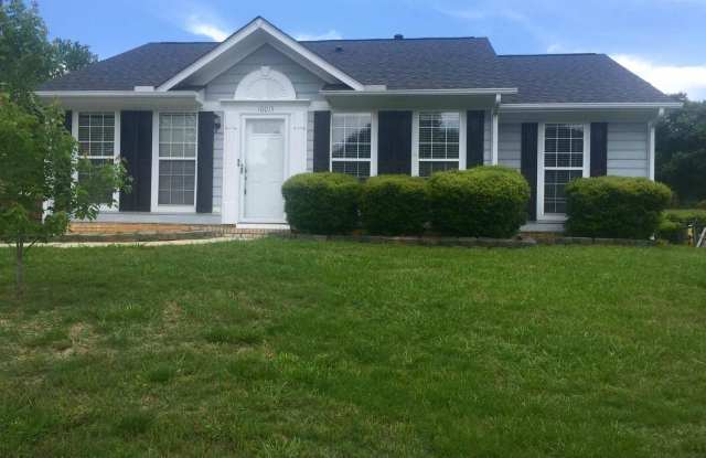10015 Ashley Farms Drive - 10015 Ashley Farm Drive, Charlotte, NC 28105