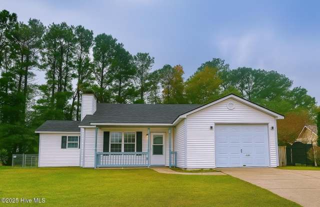303 Running Road - 303 Running Road, Piney Green, NC 28546