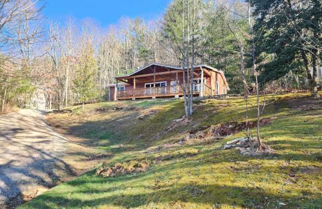 Well Maintained Swannanoa Rental! 2 BEDROOM/2 BATHROOM + BONUS ROOM photos photos