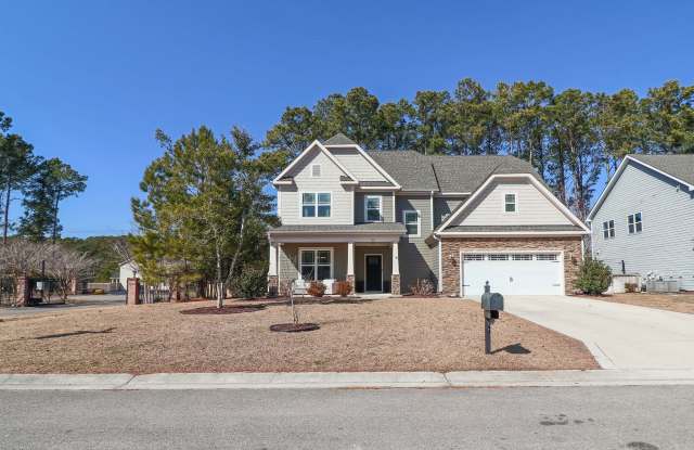 Spacious 4 Bedroom, Pet Friendly with Fenced In Backyard, Mimosa Bay Community Amenities photos photos