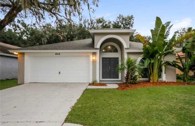 4616 PRESTON WOODS DRIVE - 4616 Preston Woods Drive, Bloomingdale, FL 33596