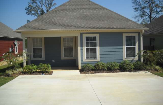 1132 Hwy 9 S - 1132 Mississippi 9, Blue Springs, MS 38828