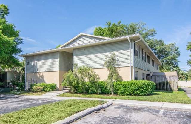 Ground Floor - 2 Bedroom 2 Bath w/ Fenced Back Yard - For Lease in Brandon, FL photos photos