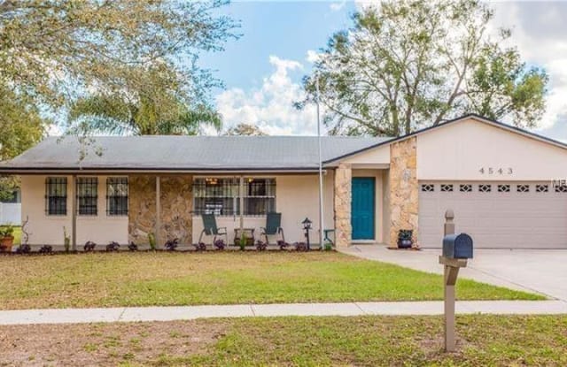 4543 Ironstone Circle - 4543 Ironstone Circle, Conway, FL 32812