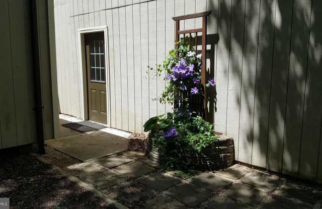 9382 TORRENT ROW Gallery 3