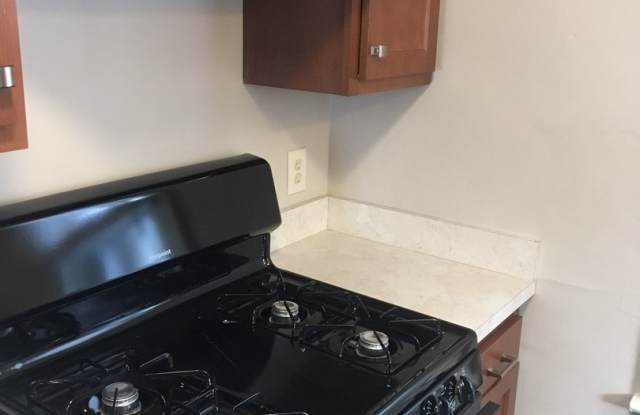 Spacious 3 Bed 1 Bath with Large Garage Gallery 3