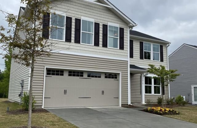 1010 Briar Rose Lane - 1010 Briar Rose Ln, Durham, NC 27704