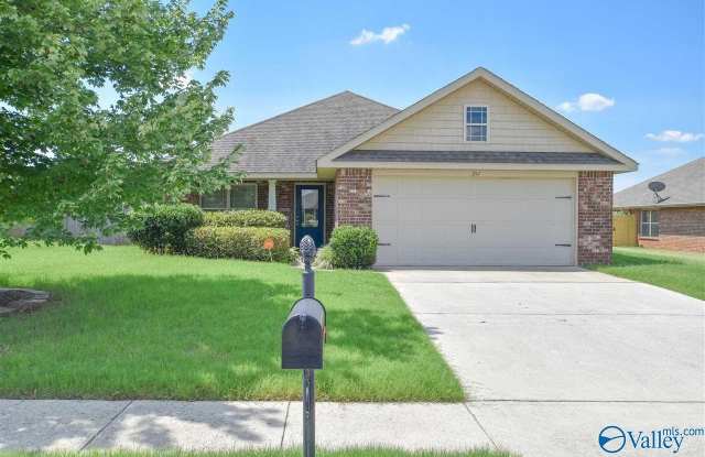 211 New Bristol Lane - 211 New Bristol Lane, Madison, AL 35756