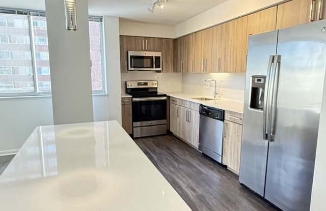 1511 S Laflin St photos photos 1511 S Laflin St photos photos