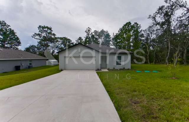896 West Ansley Drive - 896 West Ansley Drive, Pine Ridge, FL 34434